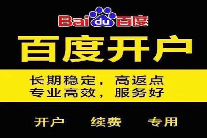案例分析：如何通过百度广告竞价提升转化率