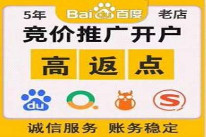 SEM实战案例：案例分析广告投放